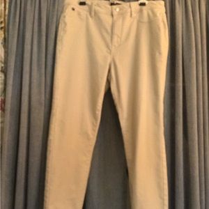Curve appeal pants size 14